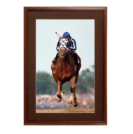 27 x 39 Wood Picture Poster Display Frames with Matboard (Wood 353) Online